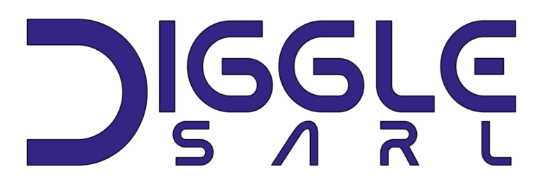 LOGO DIGGLE SARL